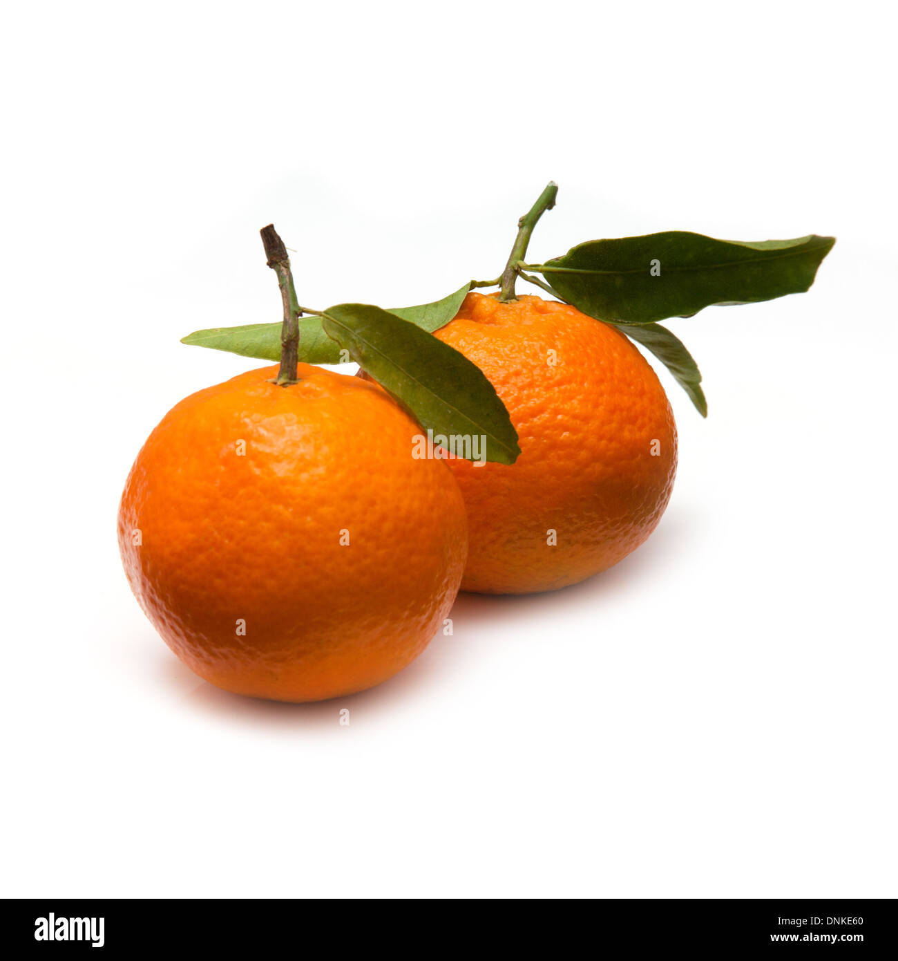 Clementine's isolated on a white studio background Stock Photo - Alamy