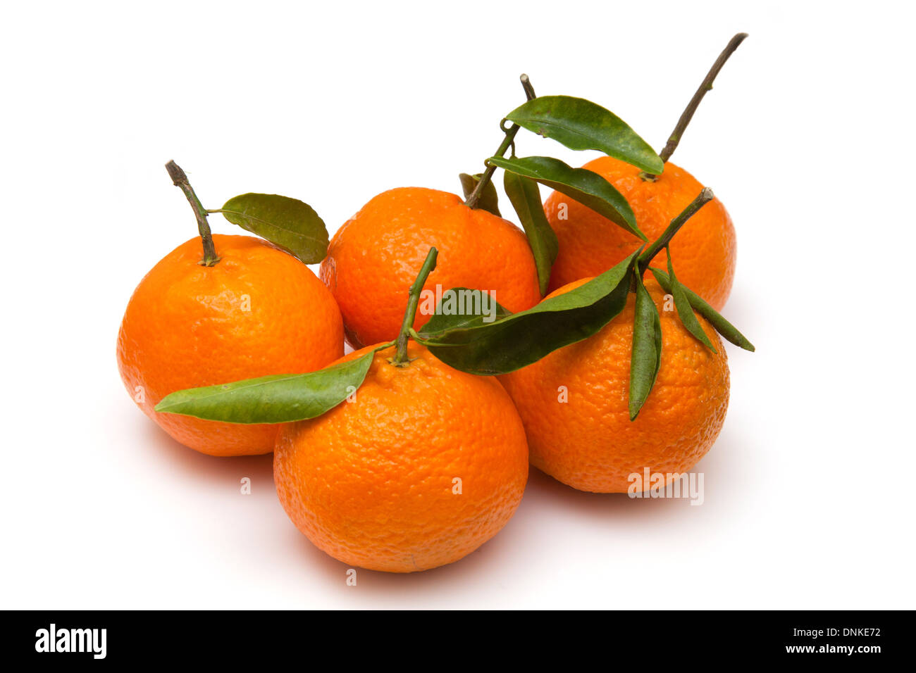 Clementine's isolated on a white studio background Stock Photo Alamy
