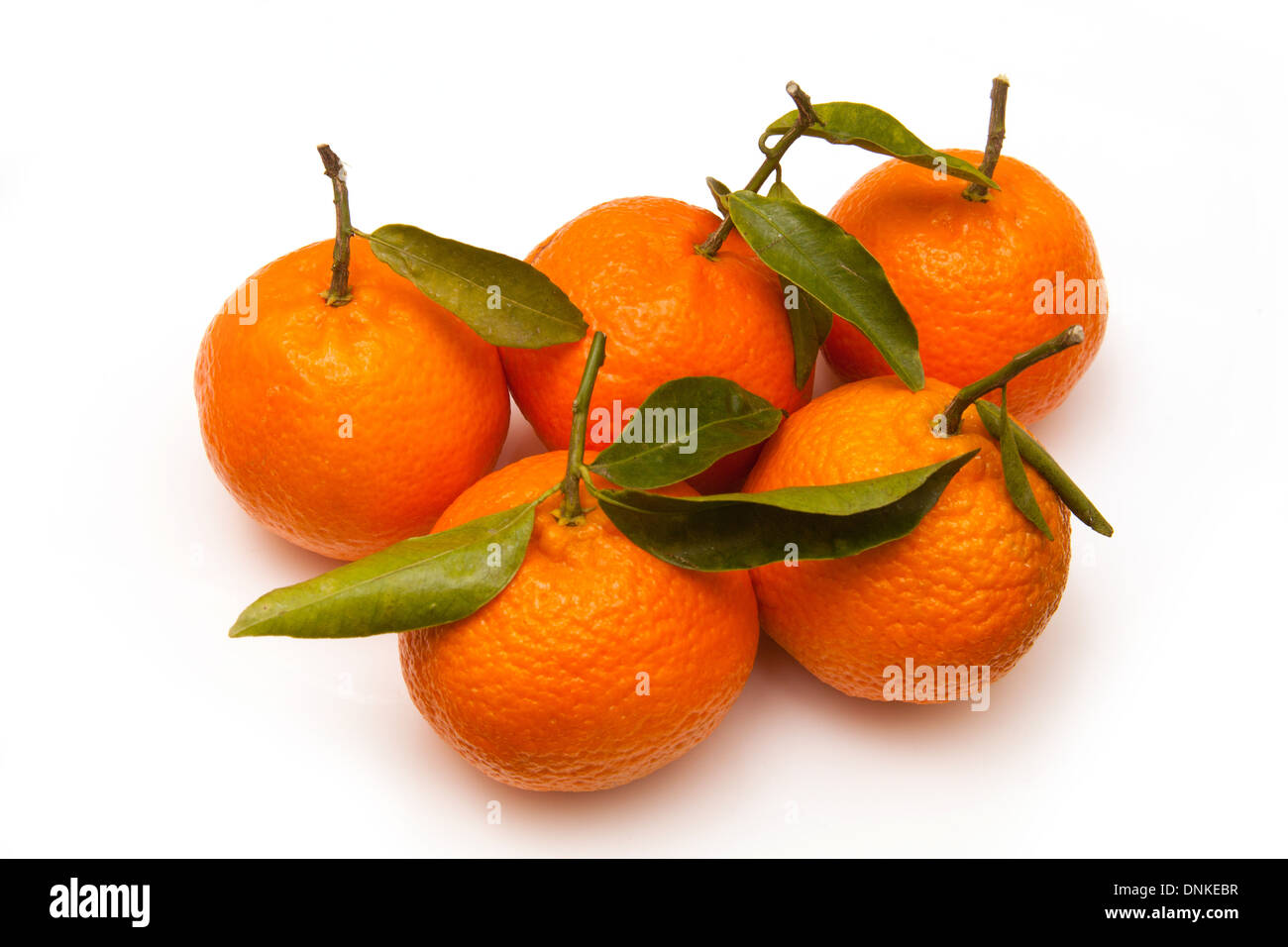 Clementine's isolated on a white studio background Stock Photo Alamy