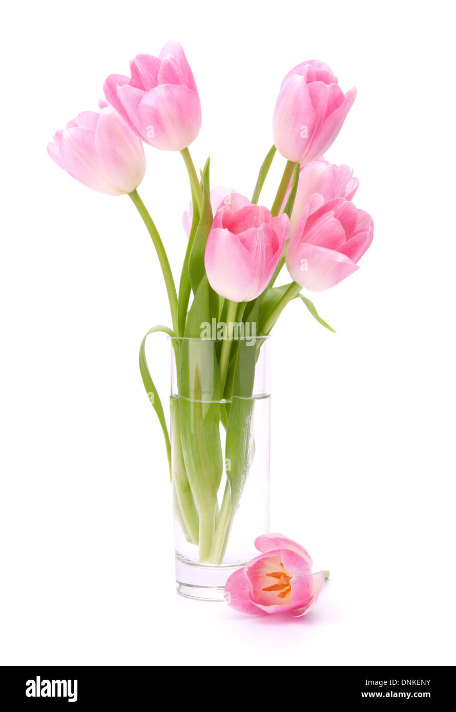 Pink tulips bouquet in vase isolated on white background Stock Photo ...