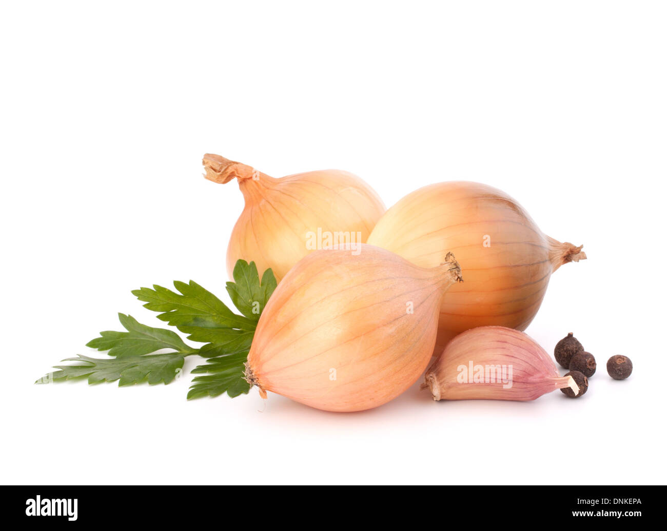Onion and garlic clove isolated on white background Stock Photo - Alamy