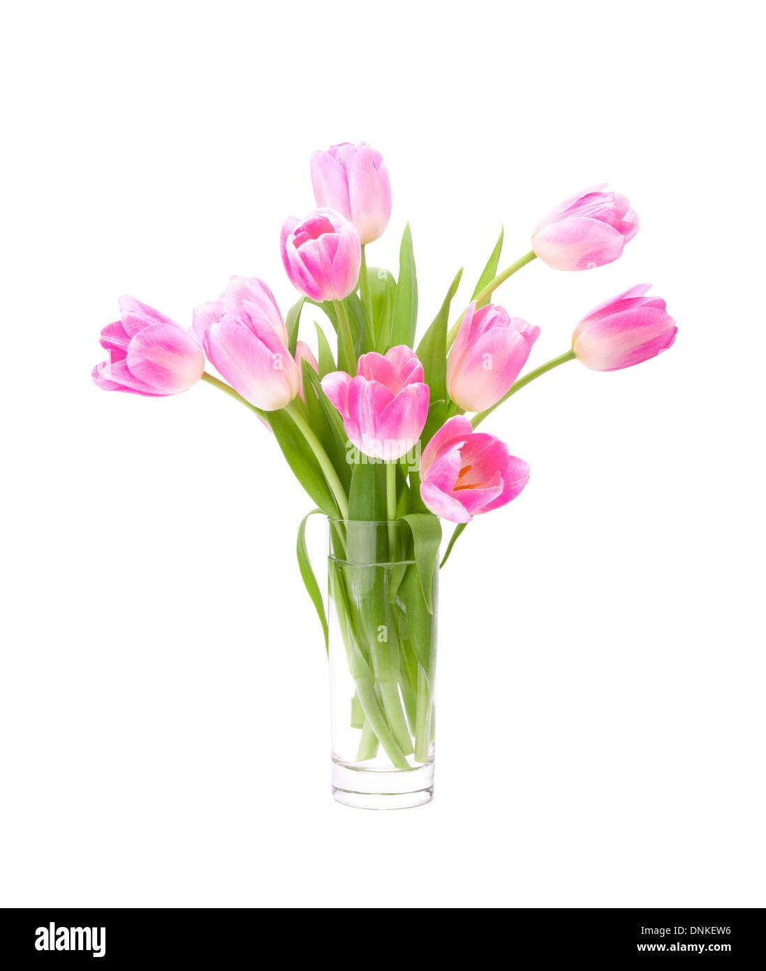 Pink tulips bouquet in vase isolated on white background Stock Photo ...
