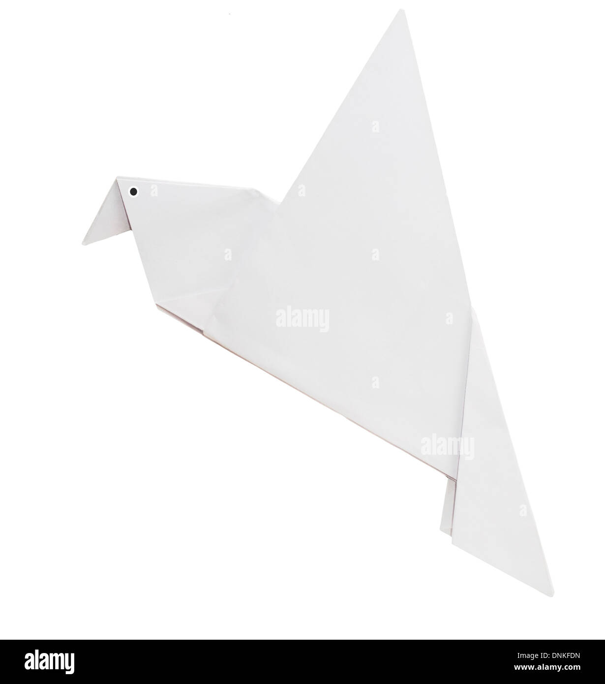 Orgami white dove Stock Photo