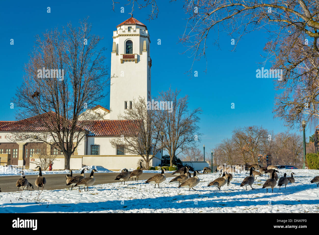 Wild geese feed in the snow at the base of the Boise Train Depot Stock Photo