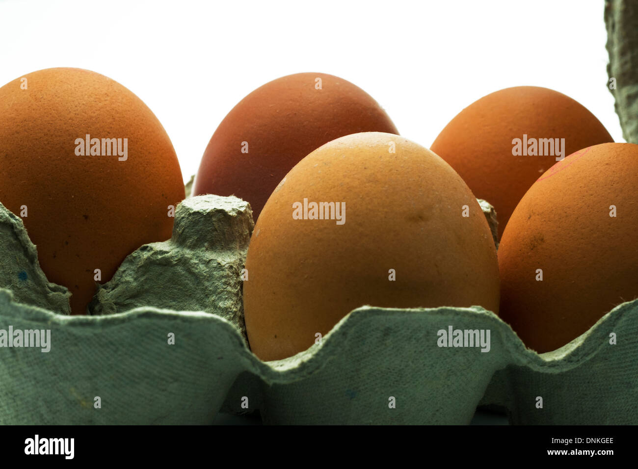 five chicken eggs in a carton box isolated on white background cut out ...