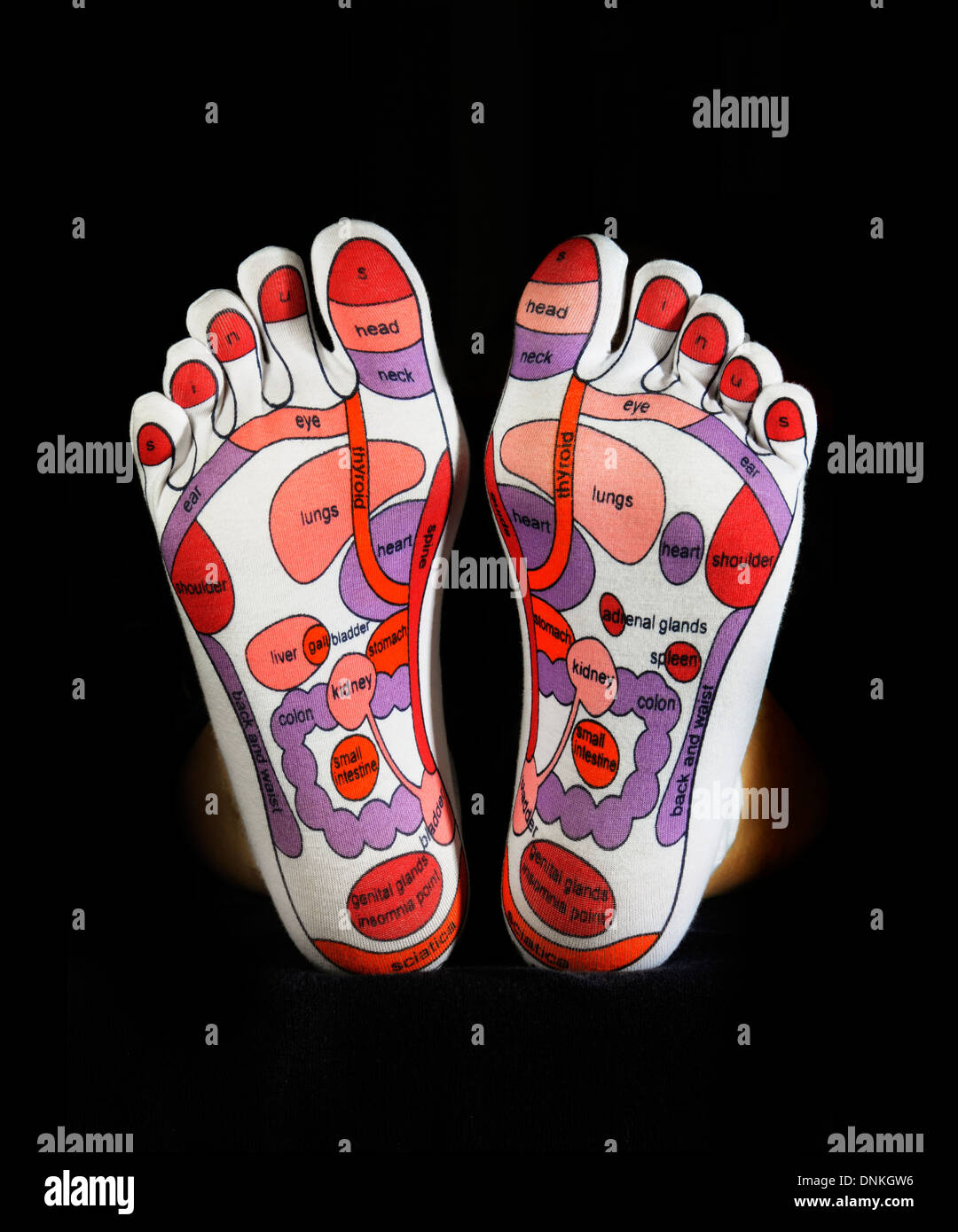 Reflexology map of the feet Stock Photo