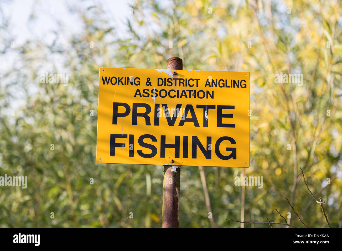 Yellow and black sign on River Wey in Pyrford, Surrey, UK: Woking & District Angling Association Private Fishing Stock Photo