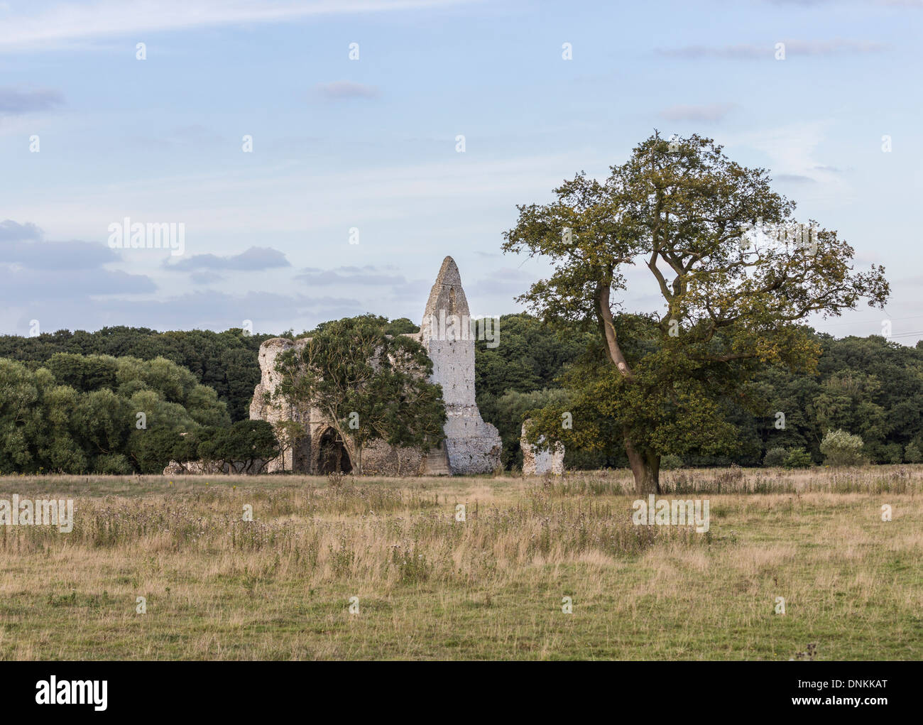 Newark priory, pyrford hires stock photography and images Alamy