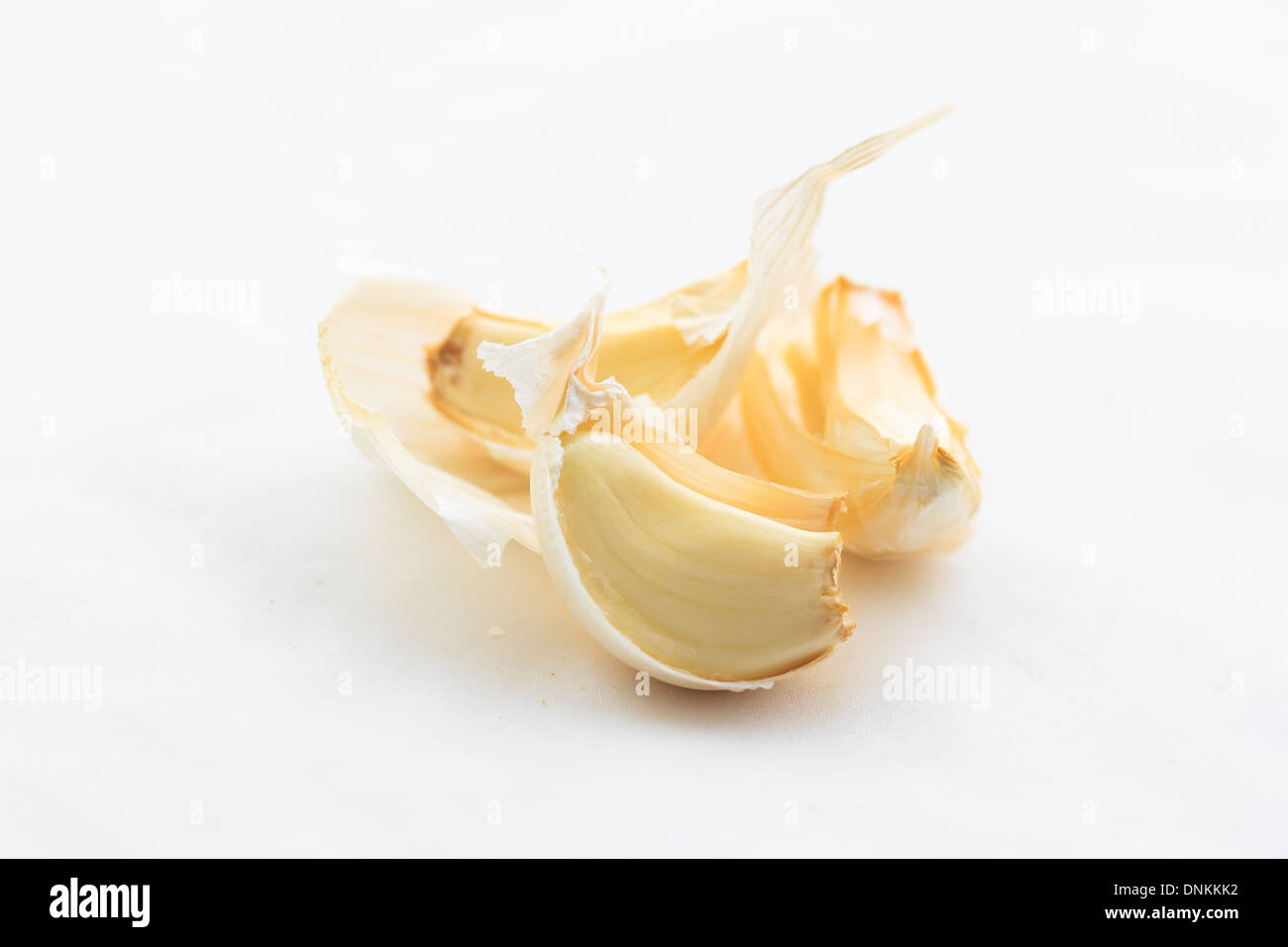 Garlic Bulb Stock Photo