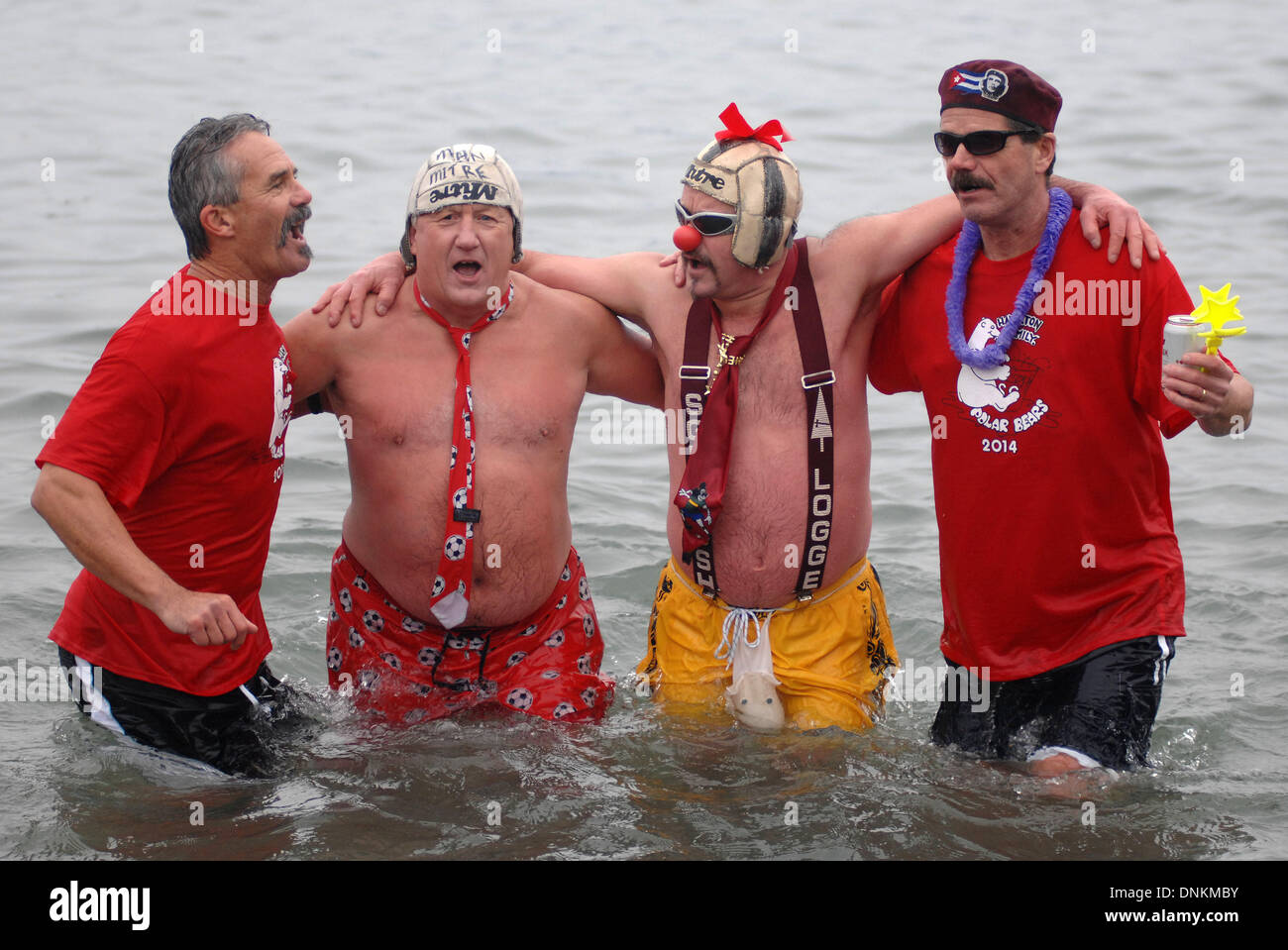 Annual polar bear swim canada hires stock photography and images Alamy