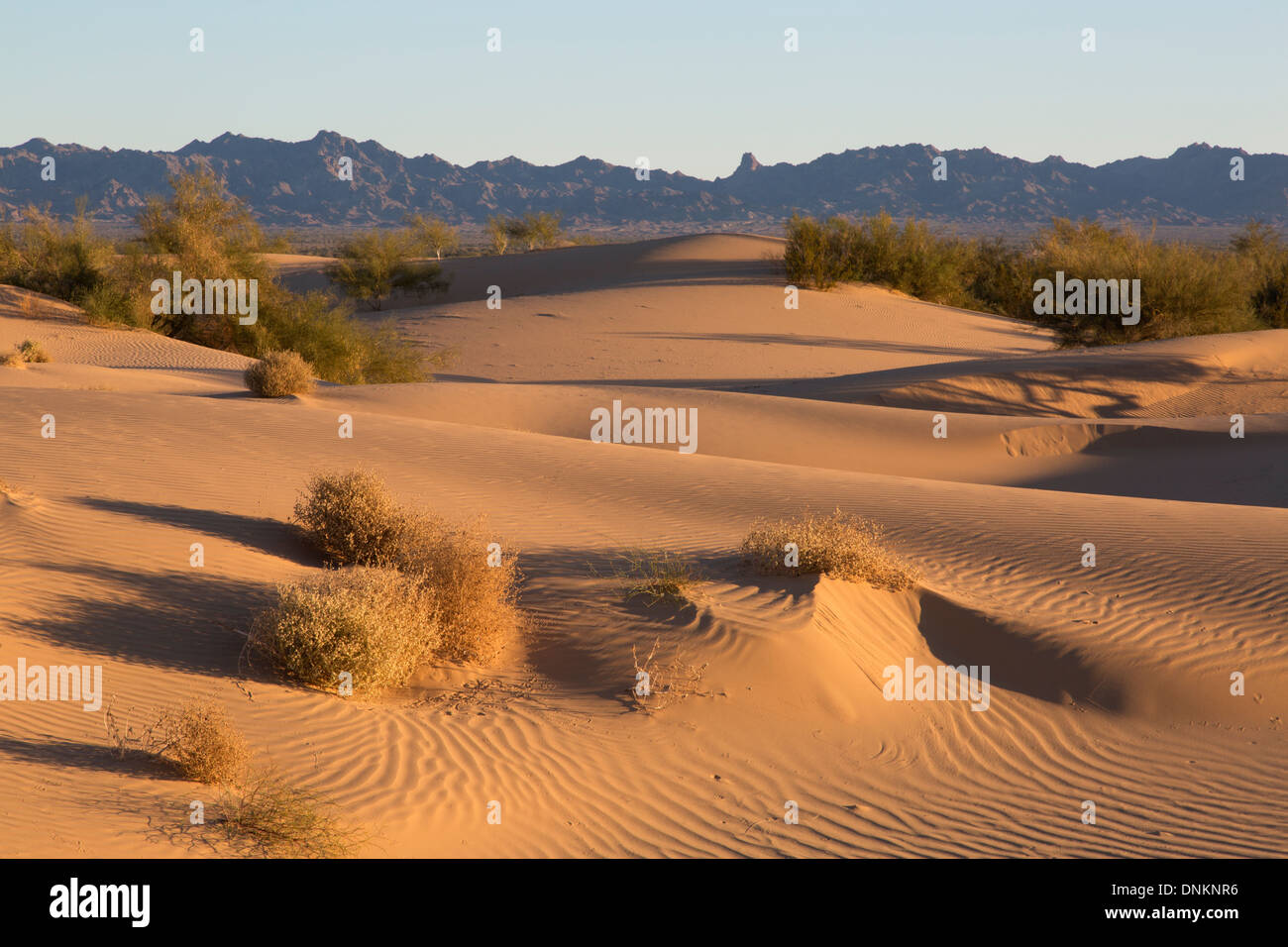 Algodones Sand Dunes and Chocolate Mountains, Imperial Sand Dunes national Monument, Southeastern California Stock Photo