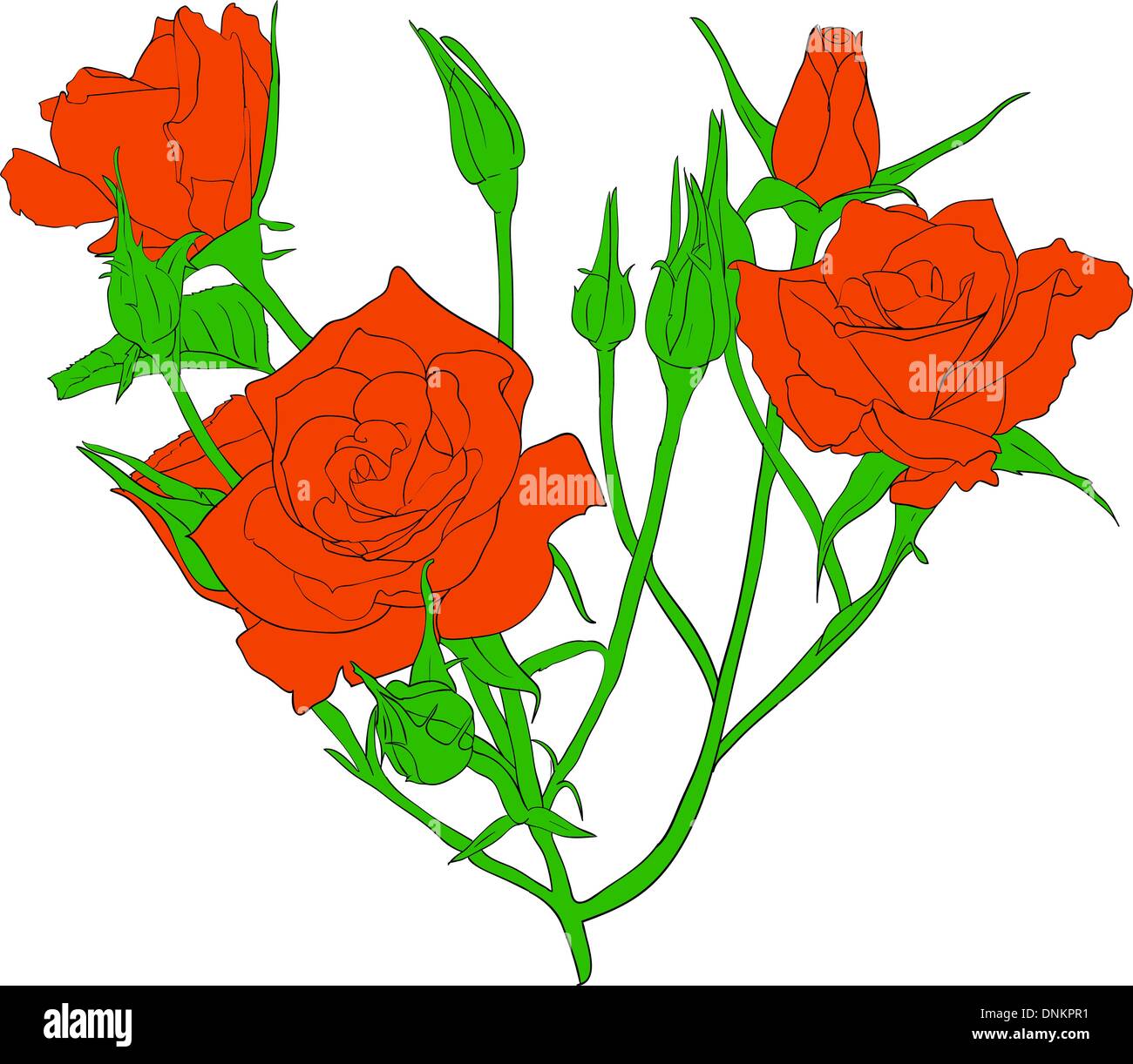 floral design element and hand-drawn , vector illustration Stock Vector ...