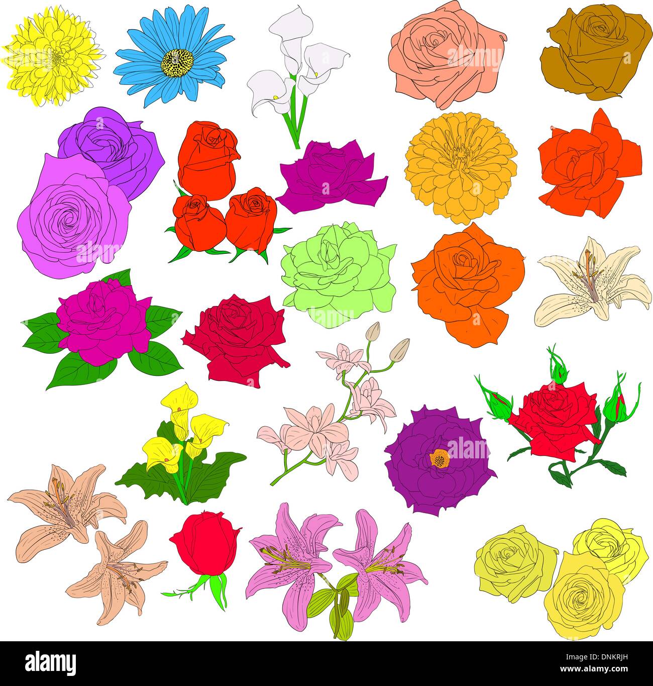 Set of in hand drawn style roses. Vector EPS 10 illustration Stock ...