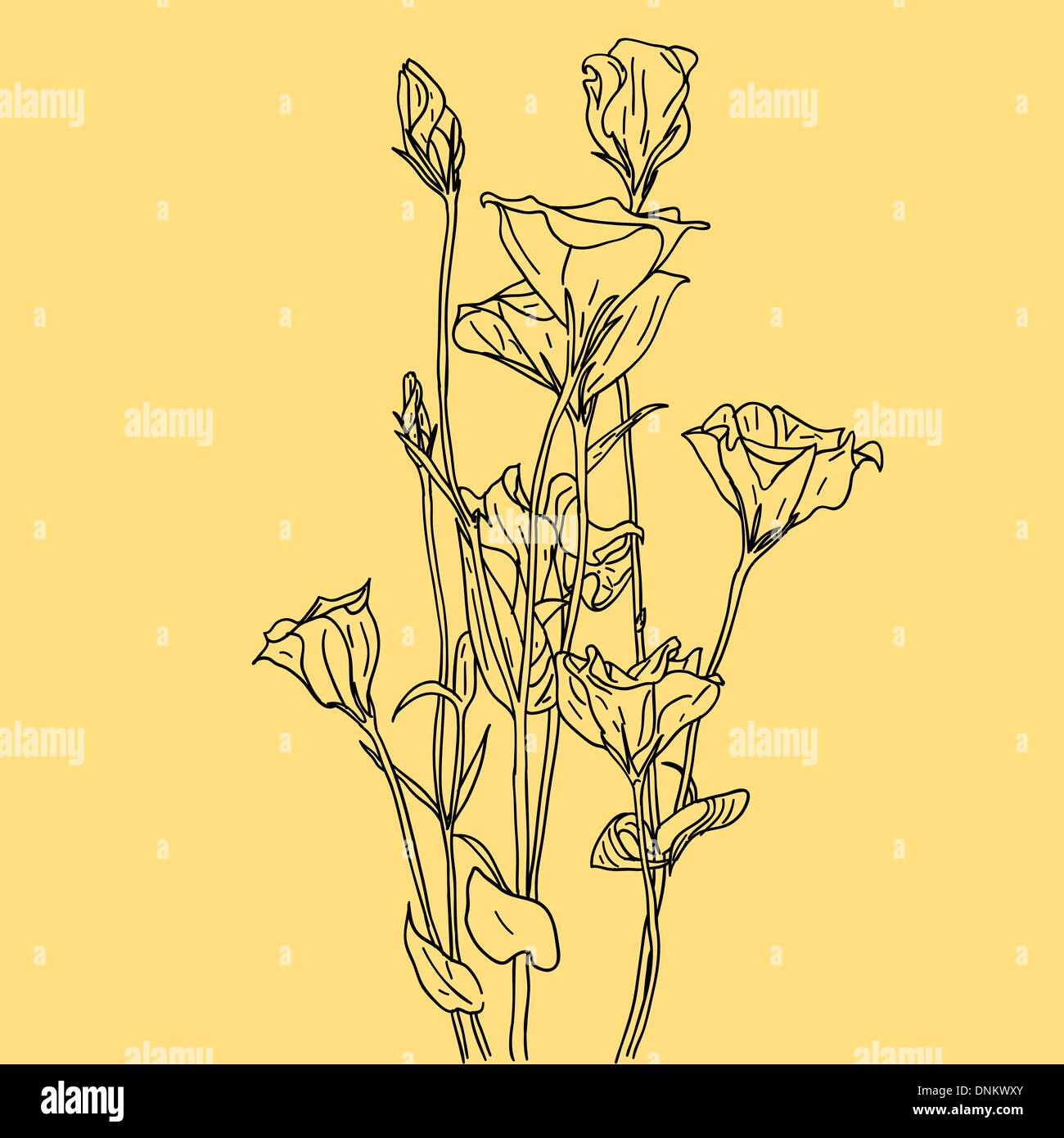 vector flower background Stock Vector Image & Art - Alamy