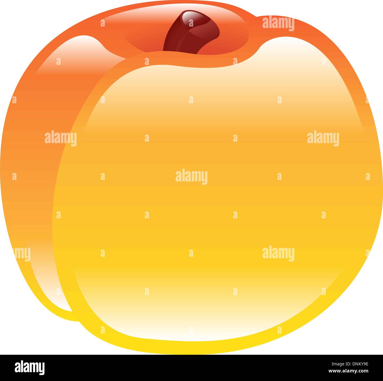 illustration-of-a-peach-stock-vector-image-art-alamy