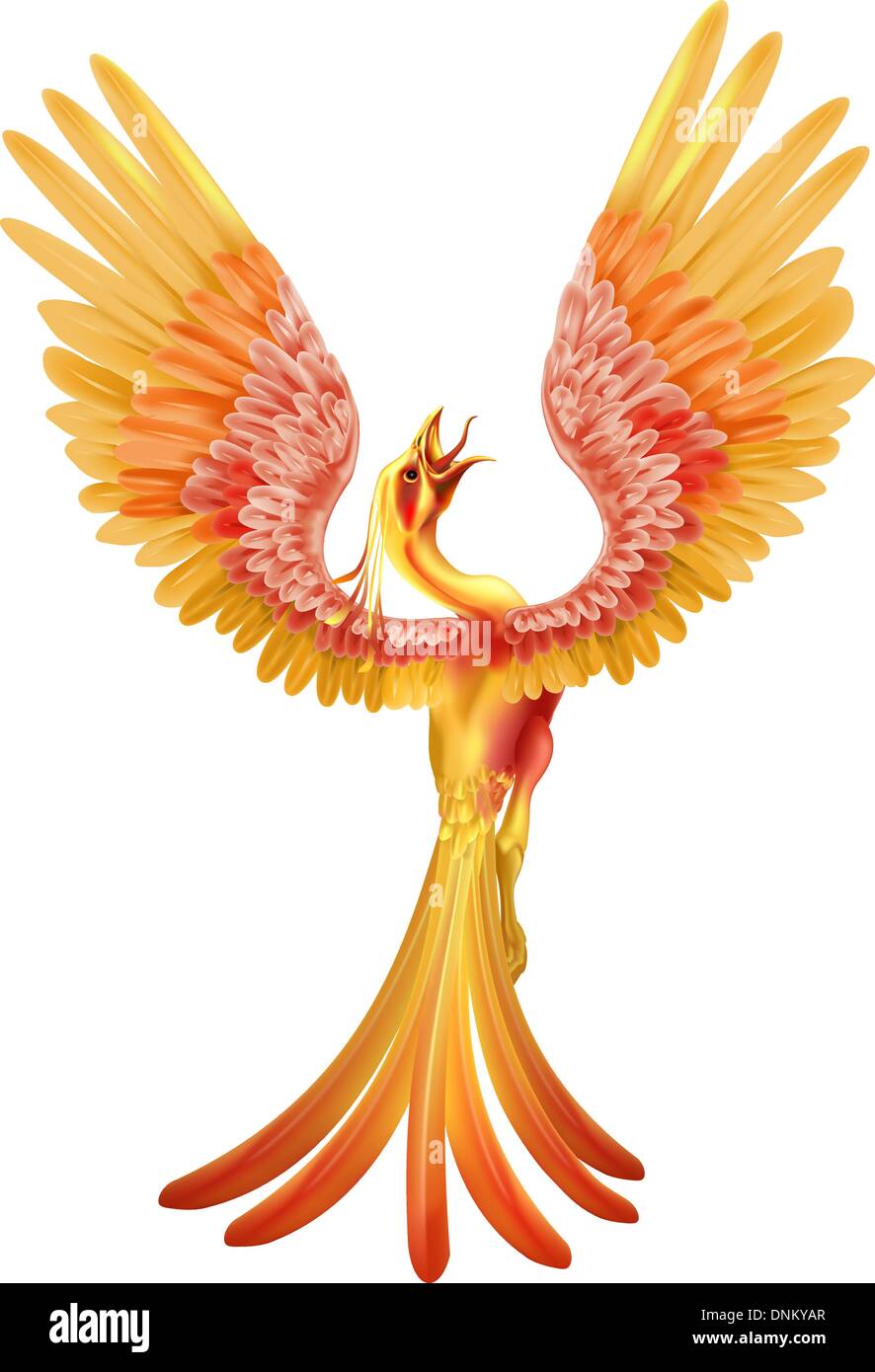 A Phoenix Bird Rising From The Ashes With Wings Spread Out Stock Vector Image Art Alamy