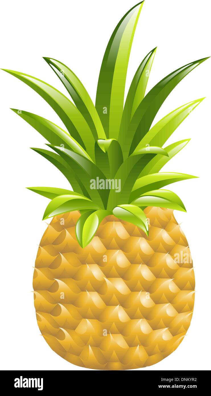 Illustration of a pineapple Stock Vector Image &amp; Art - Alamy