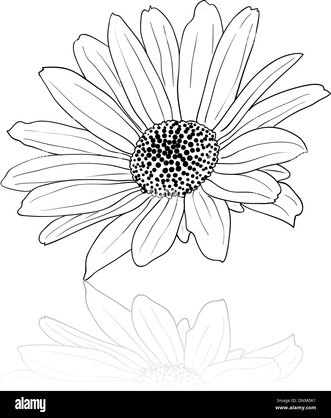 vector hand drawn illustration Stock Vector Image & Art - Alamy
