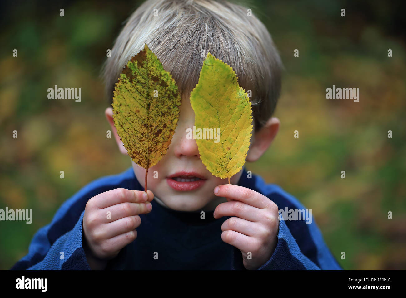 Boy holding leaves in front of eyes Stock Photo - Alamy