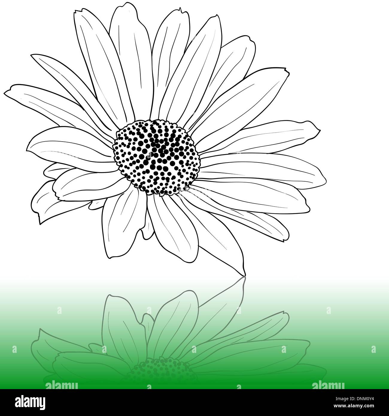 vector hand drawn illustration Stock Vector Image & Art - Alamy