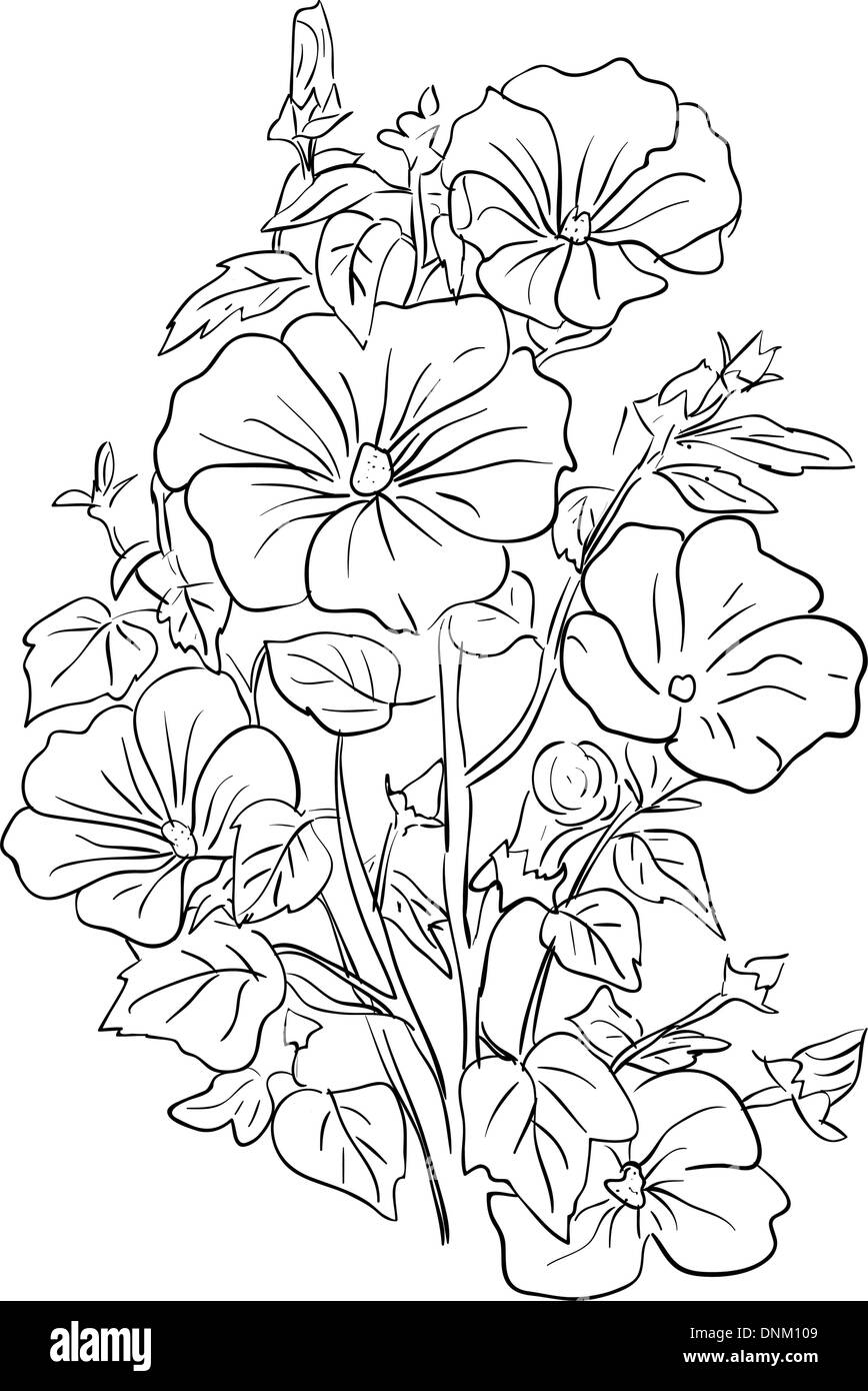 Elegant bouquet Black and White Stock Photos & Images - Alamy