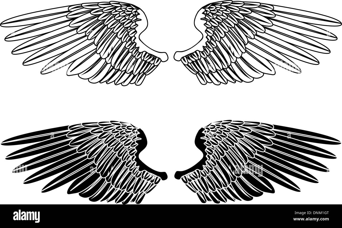 An illustration of two pairs of outstretched wings Stock Vector Image ...