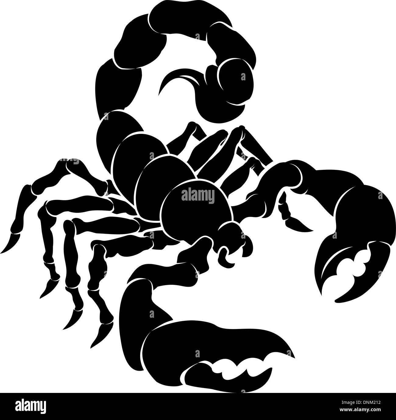 Scorpion tattoo vector vectors Black and White Stock Photos & Images - Alamy
