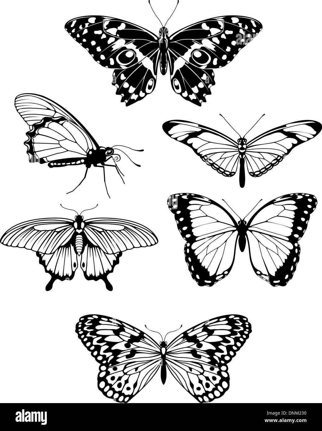 A set of beautiful stylised butterfly outline silhouettes Stock Vector