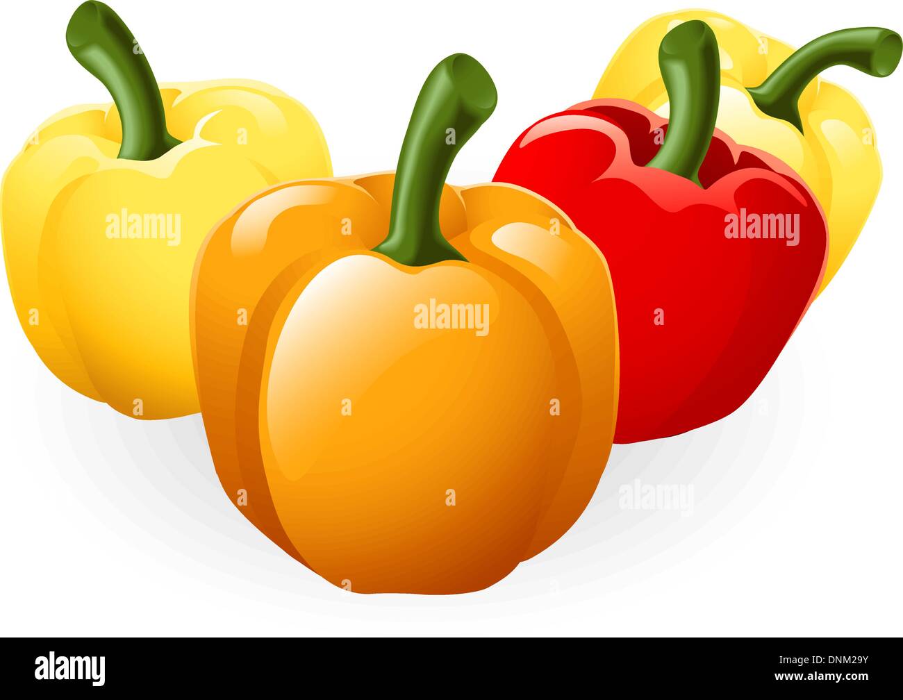 Illustration of a group of fresh tasty sweet peppers Stock Vector