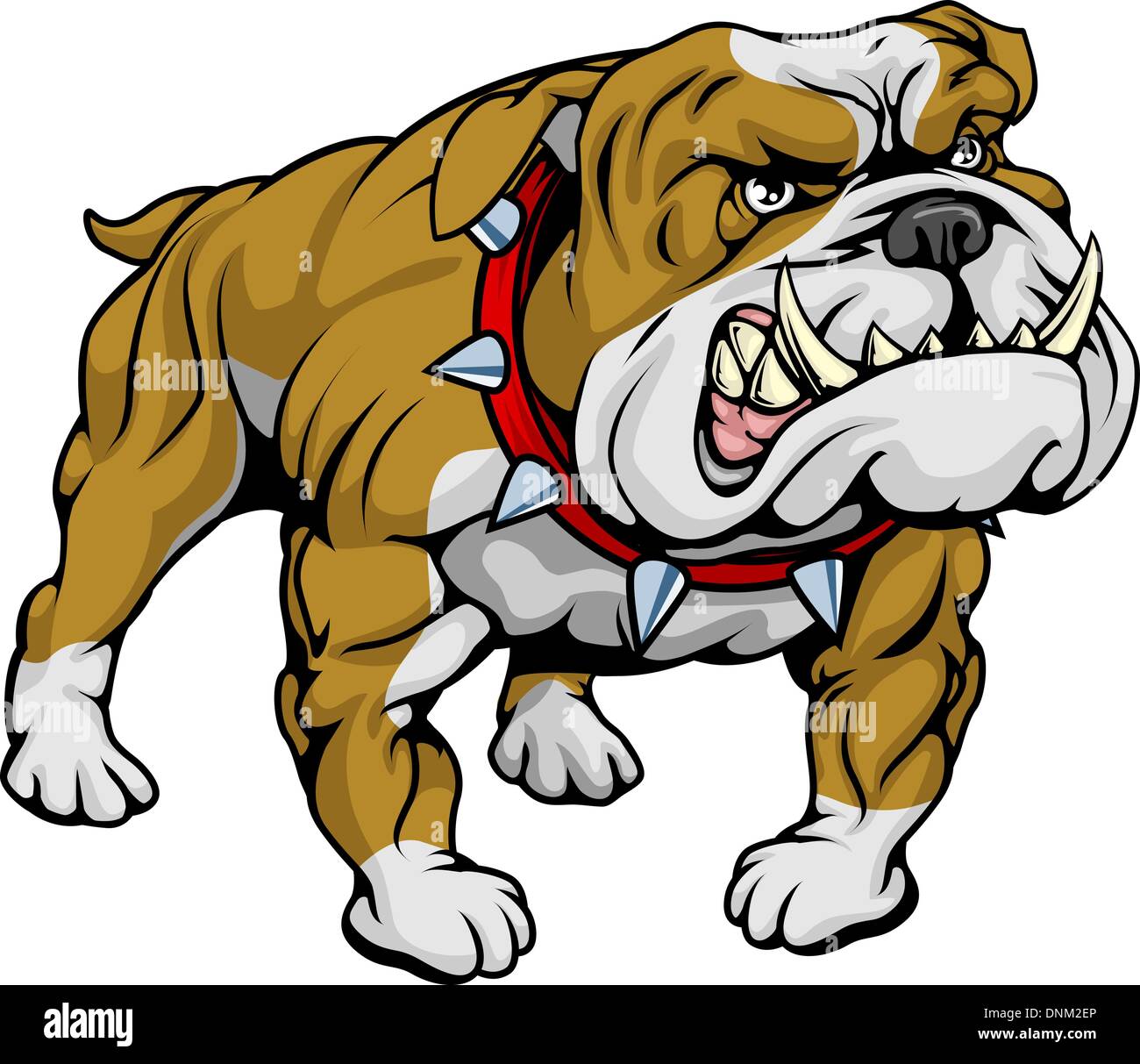 A cartoon very hard looking bulldog character. Stock Vector