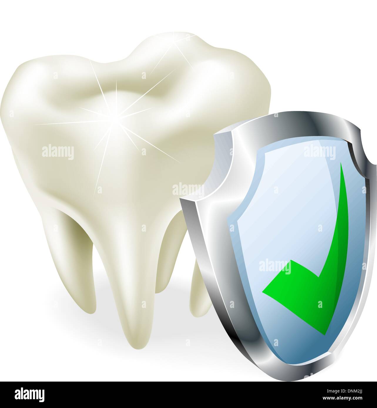 A tooth with a shield and green tick icon Stock Vector Image & Art - Alamy