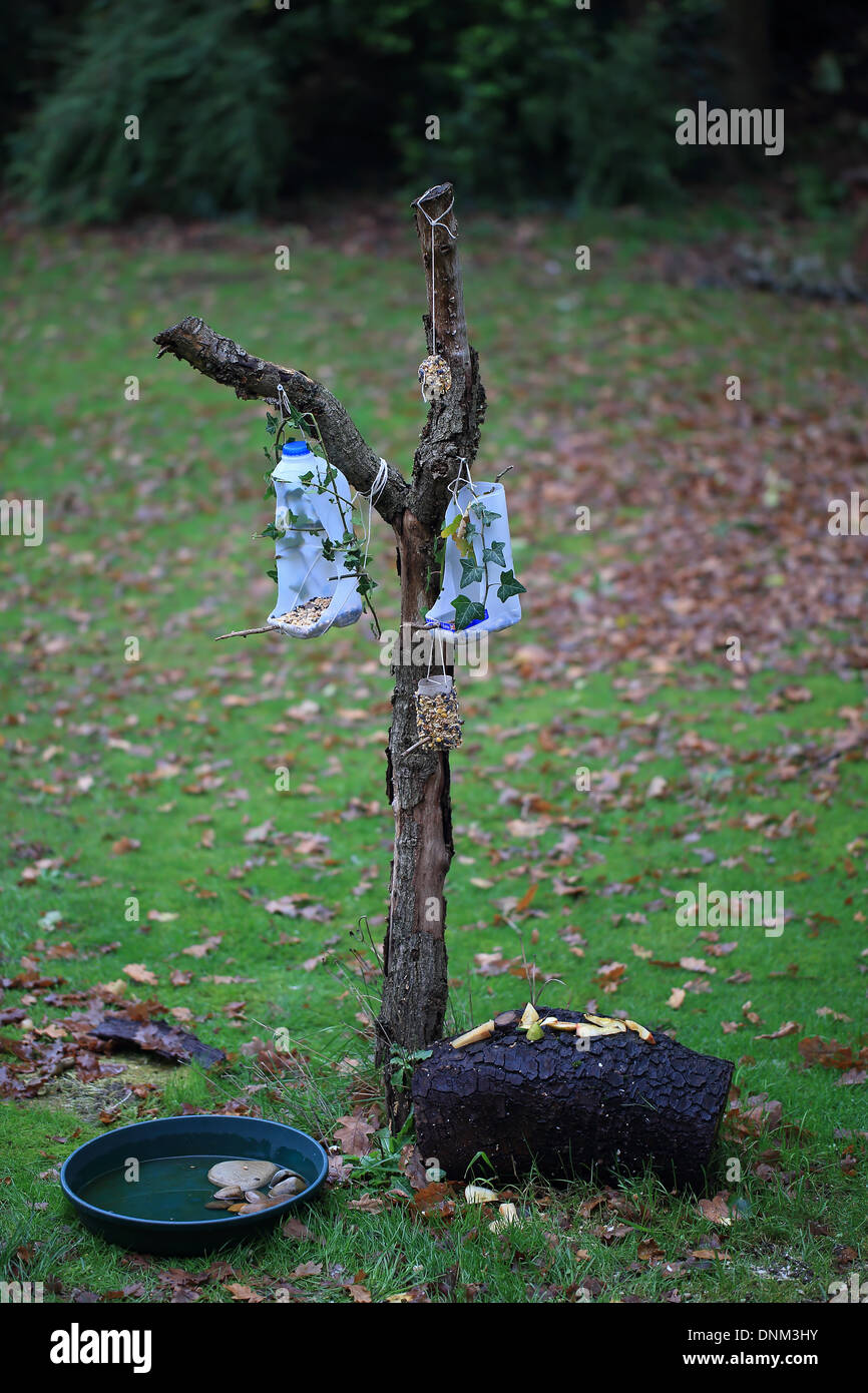 Recycled Milk Bottle Birdfeeders Stock Photo 64980775 Alamy