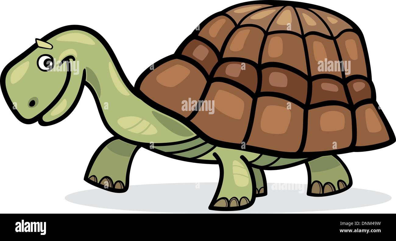 Illustration of funny cartoon turtle Stock Vector Image & Art - Alamy