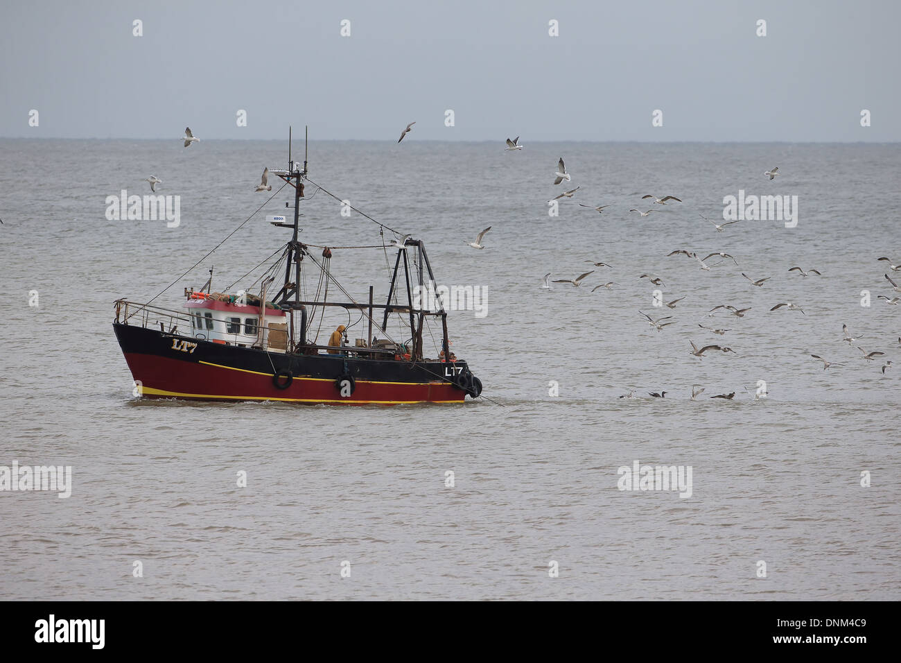 Trawler fishing for herring Stock Photo