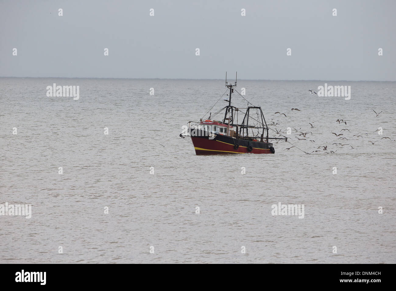 Trawler fishing for herring Stock Photo