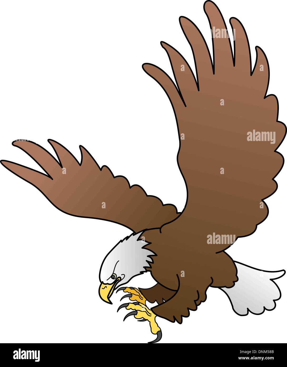 Illustration of bald eagle with spread wings Stock Vector