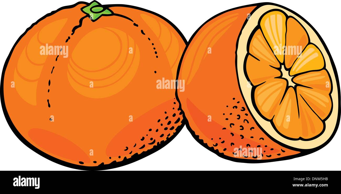 illustration of two oranges Stock Vector Image & Art Alamy