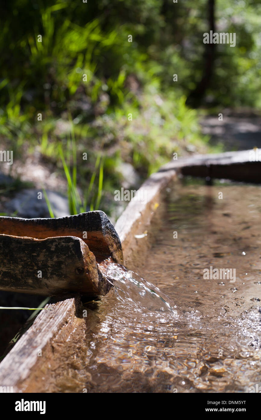 Fresh water. Stream. Slovenian alps. Stock Photo