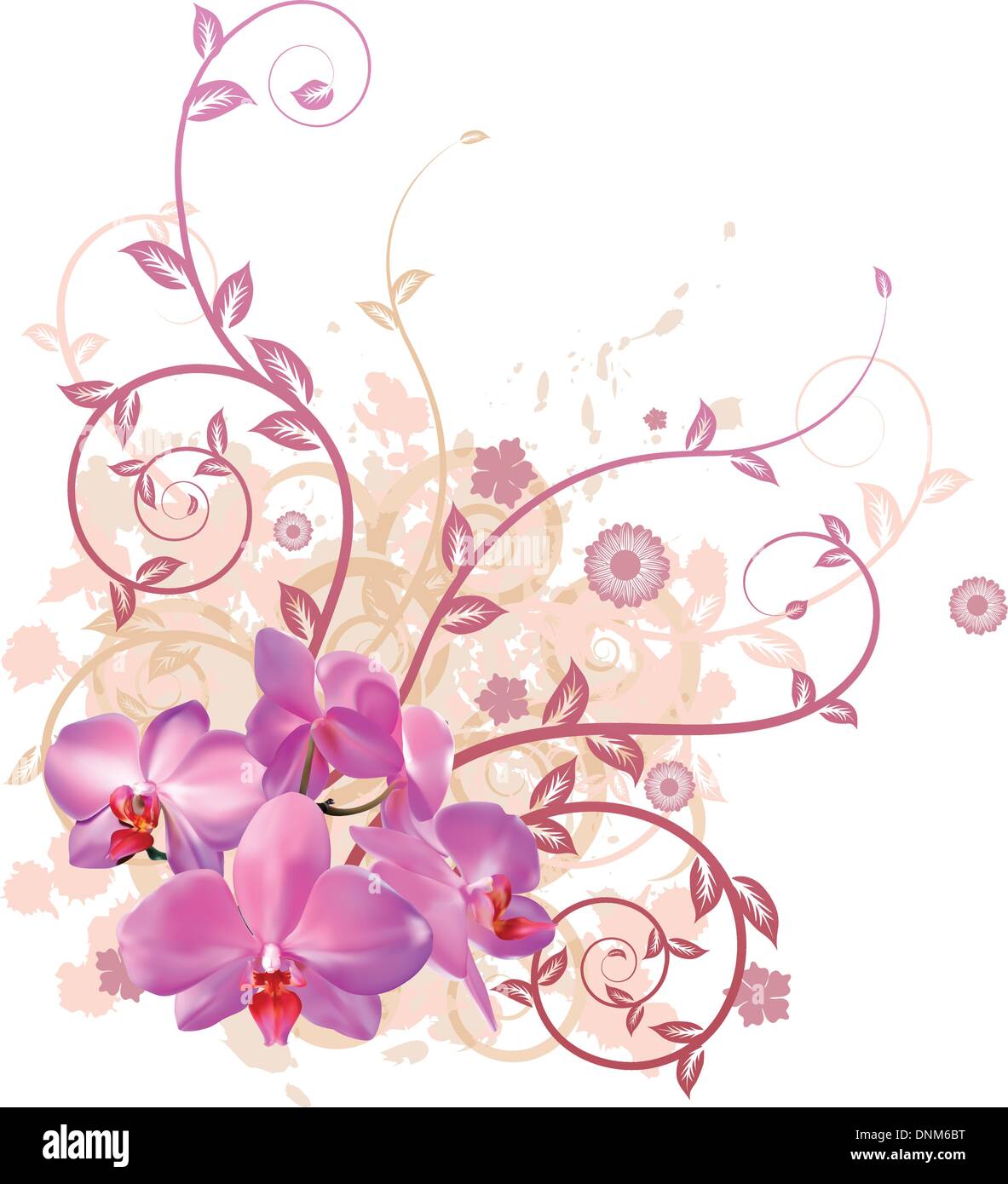 A very stylish vector floral background illustration with pink orchid flowers. Stock Vector