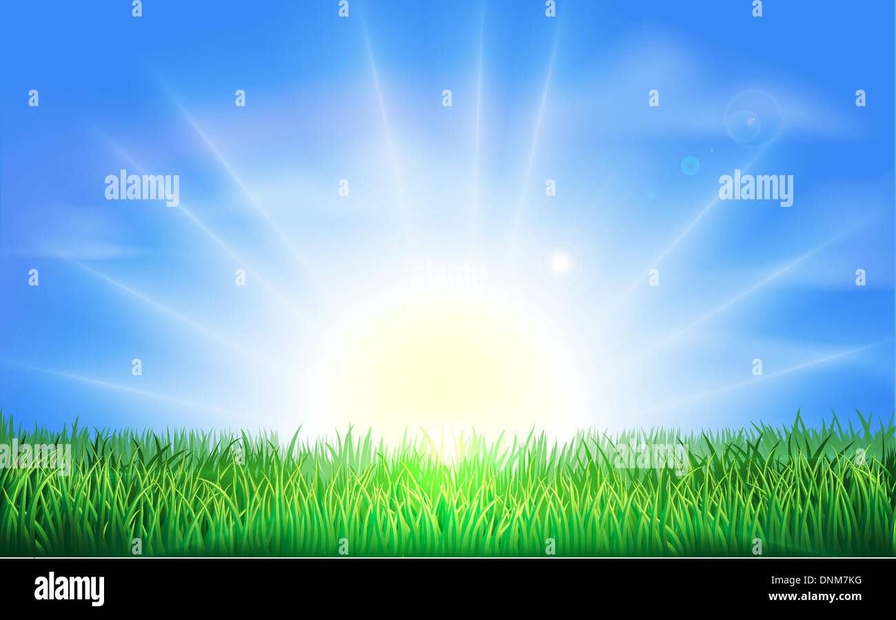 The sun rising or setting over a beautiful green field of grass with bright blue sky Stock Vector