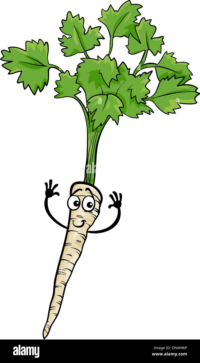 Cartoon Illustration of Funny Comic Parsley Root Vegetable Food