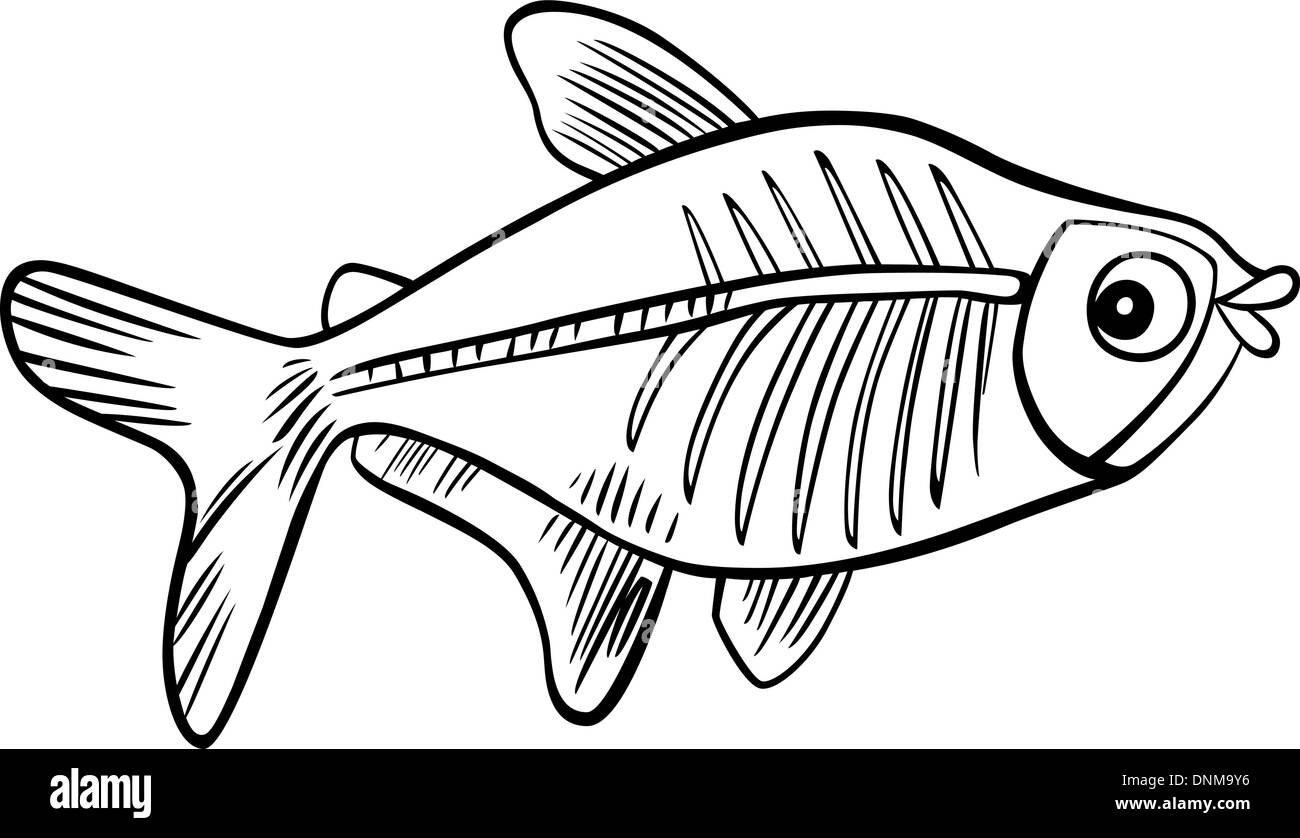cartoon illustration of x-ray fish for coloring book Stock Vector