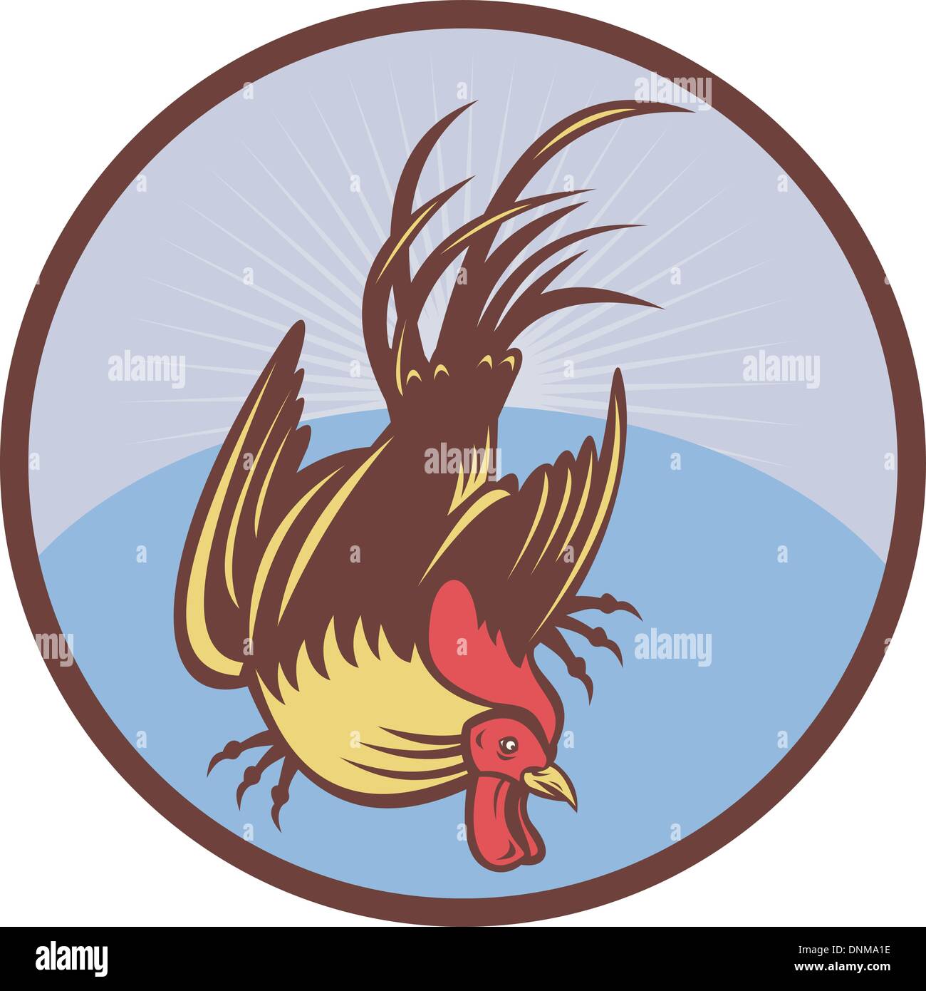 Vector Cockerel illustration of a Rooster cockerel cock viewed from high angle done in ...