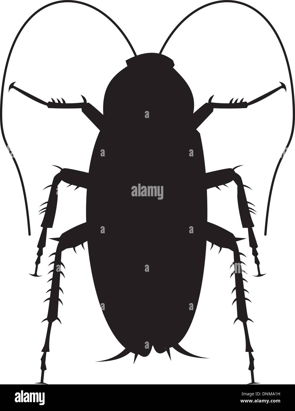Illustration of a cockroach silhouette on white background Stock Vector ...