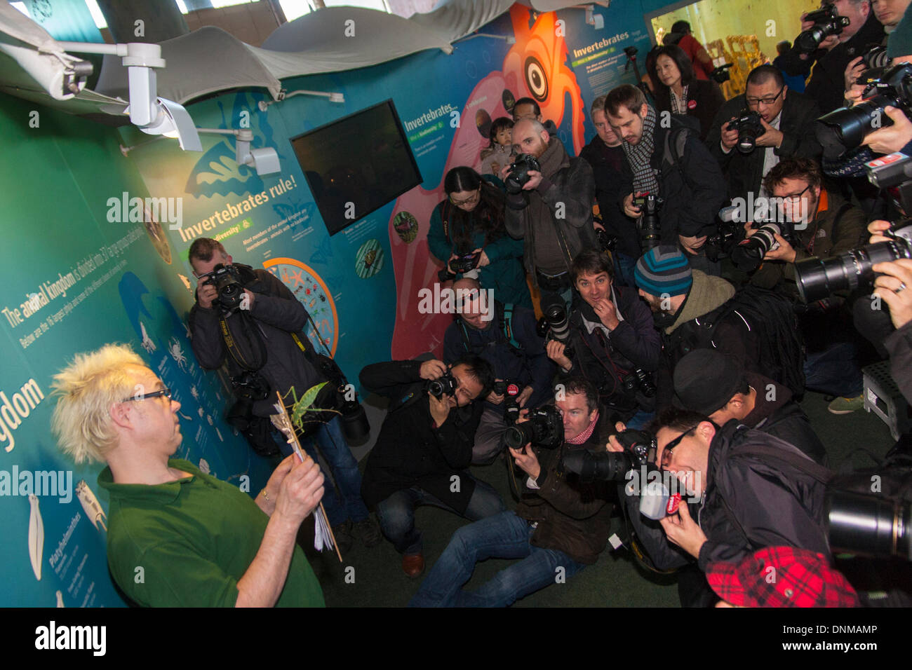 London zoo reptile house hires stock photography and images Alamy