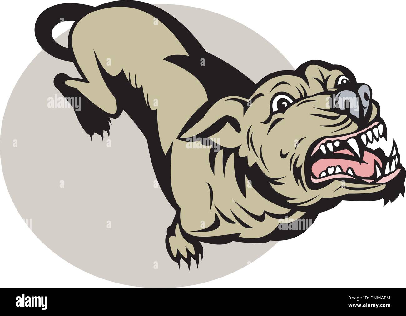 illustration of an Angry Dog barking about to attack viewed from a high angle Stock Vector