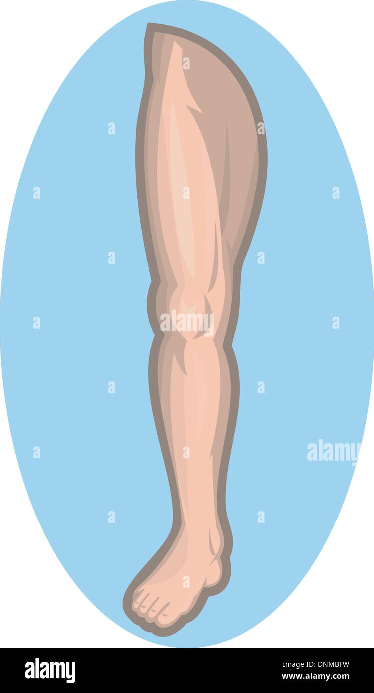 illustration of a Human leg facing front isolated on blue background. Stock Vector