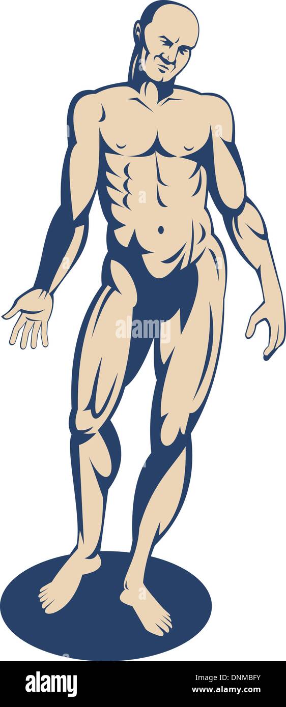 human muscle man clip art