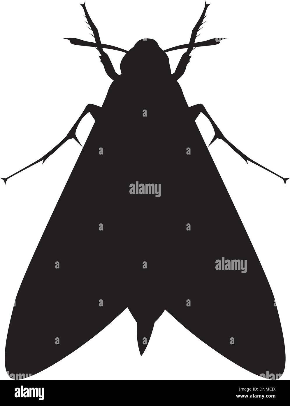 Moth silhouette hires stock photography and images Alamy