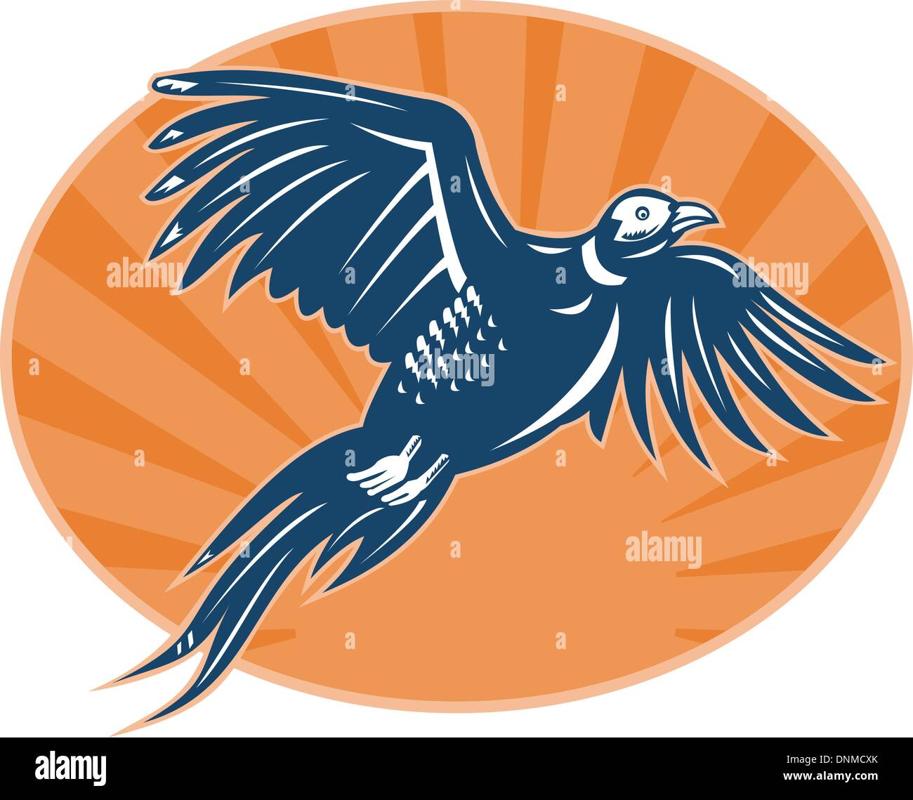 illustration of a Pheasant bird flying up with sunburst in the background done in retro style. Stock Vector